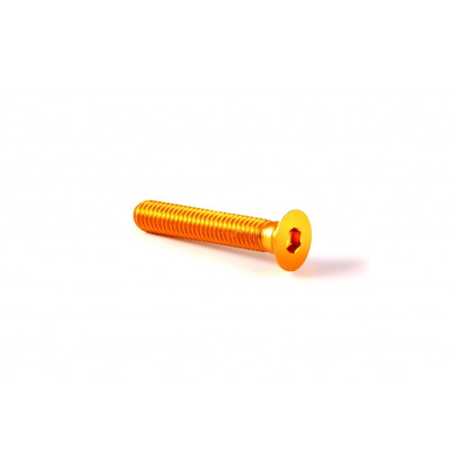 Carbon-Ti X-Cap TORX Spare Bolt with logo